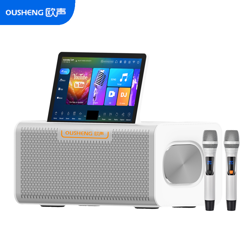 Home KTV Sound System Complete - Home Cinema Sound System ulasan dan harga