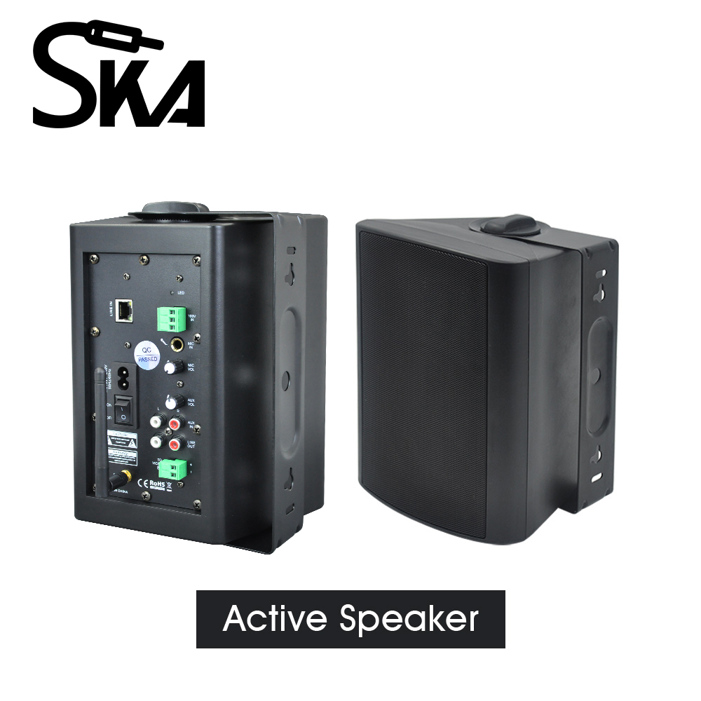 WiFi Wall Mount Speaker Box Hi - Home Cinema Sound System ulasan dan harga
