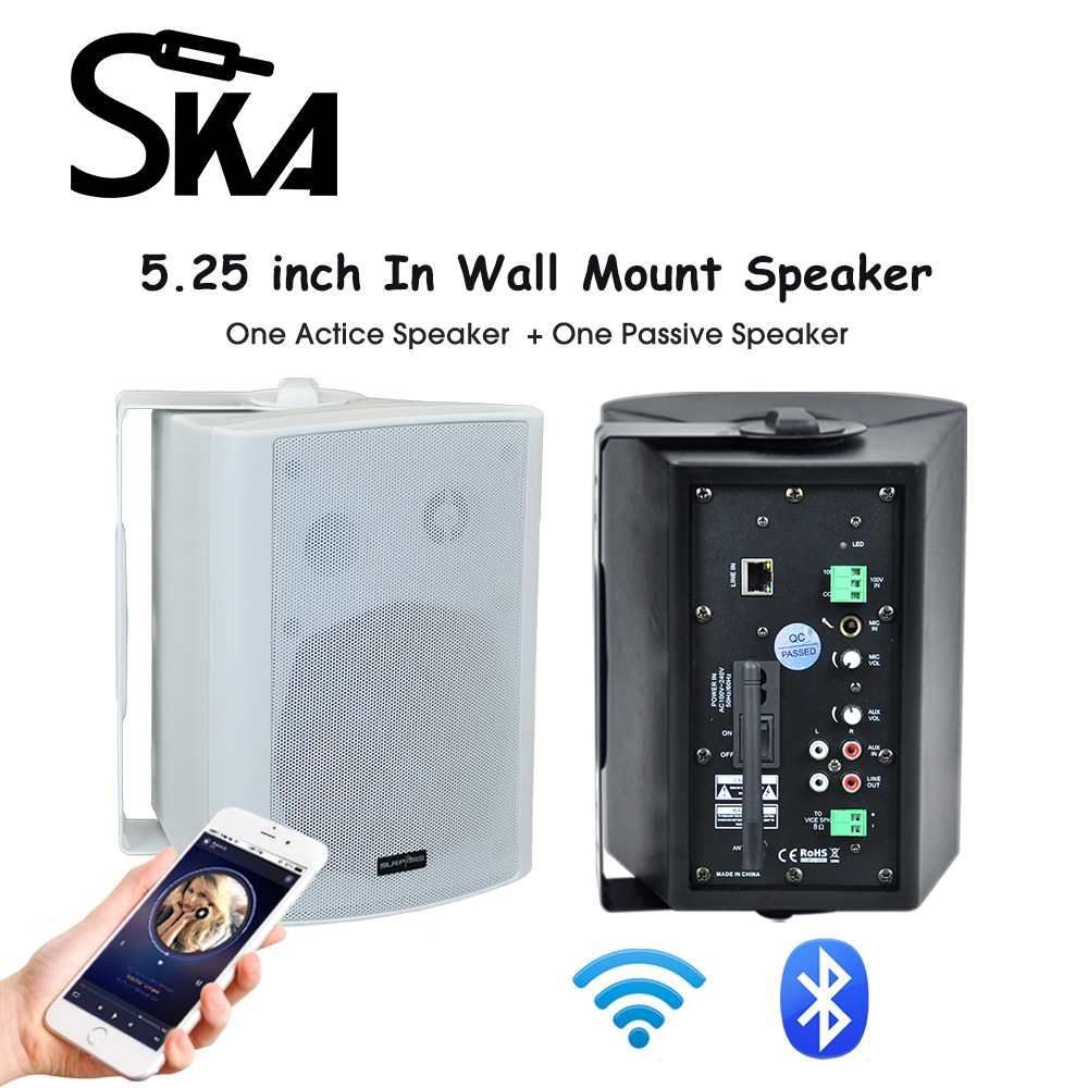 WiFi Wall Mount Speaker Box Hi - Home Cinema Sound System ulasan dan harga
