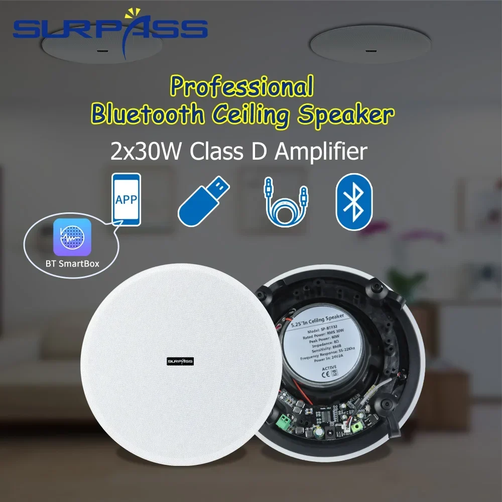 Ceiling Bluetooth Speaker 5.25 - Home Cinema Sound System ulasan dan harga