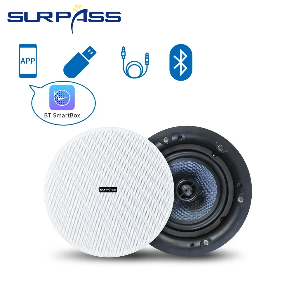Ceiling Bluetooth Speaker 5.25 - Home Cinema Sound System ulasan dan harga