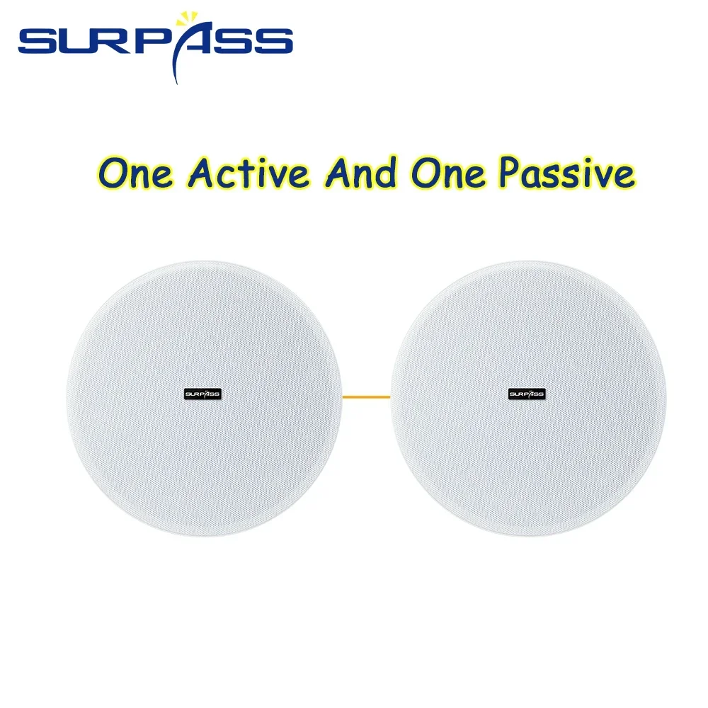 Ceiling Bluetooth Speaker 5.25 - Home Cinema Sound System ulasan dan harga