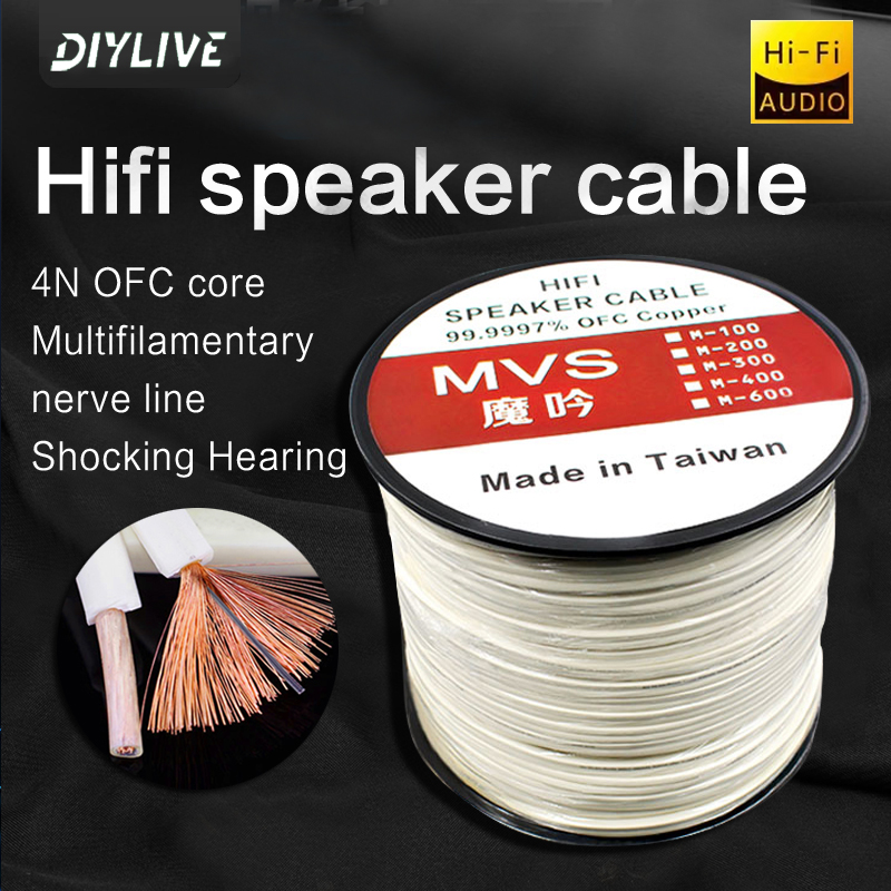 DIYLIVE HiFi Speaker Line for  - Home Cinema Dvd ulasan dan harga