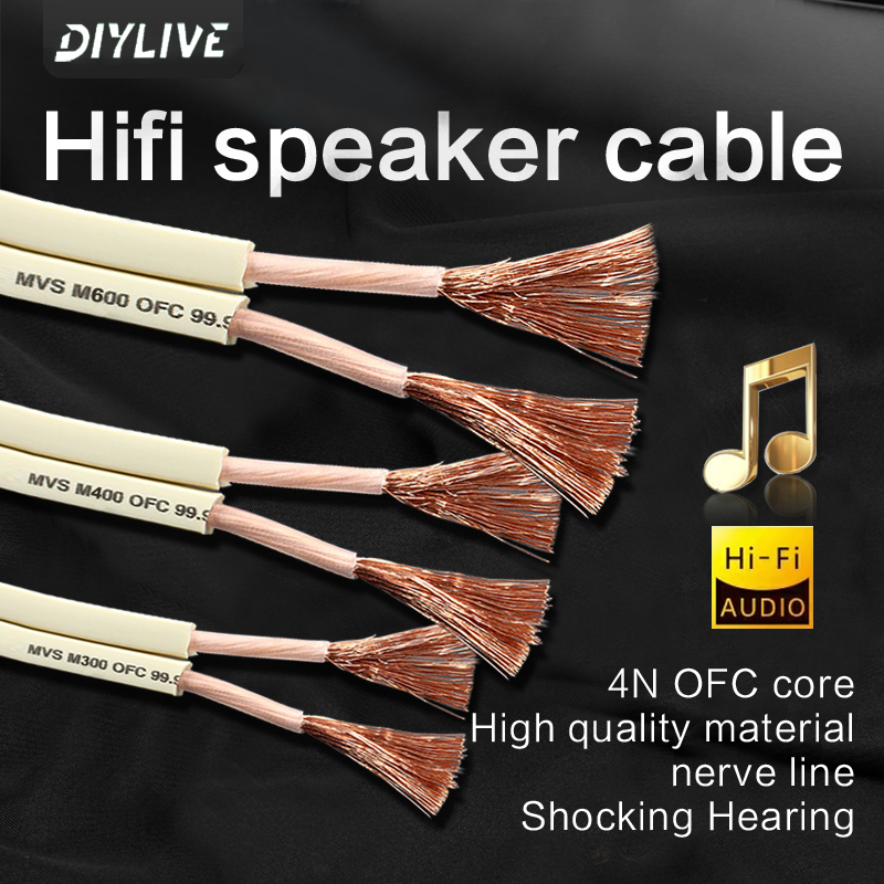 DIYLIVE HiFi Speaker Line for  - Home Cinema Dvd ulasan dan harga