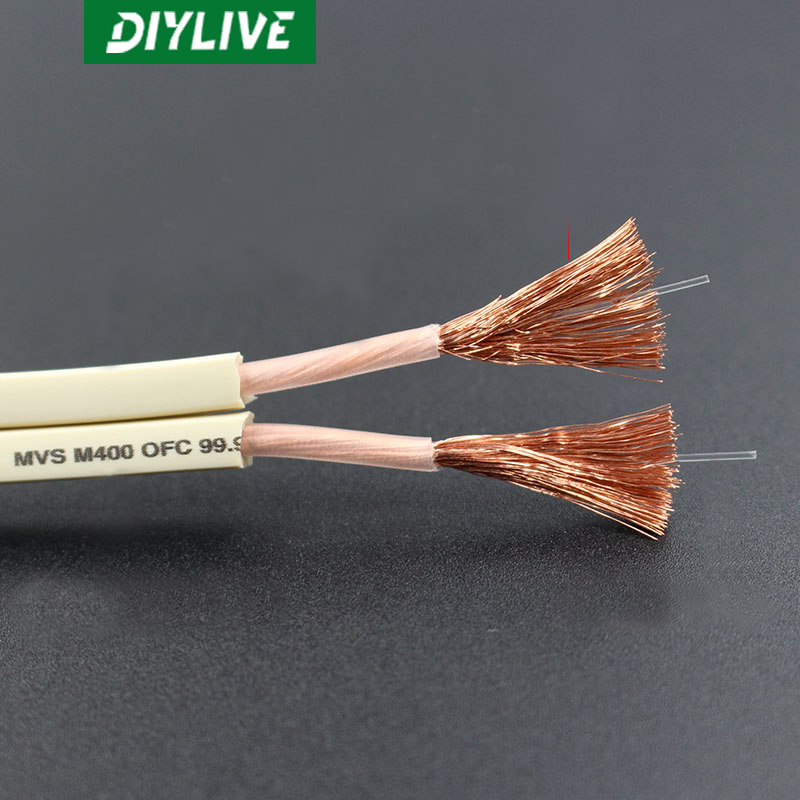 DIYLIVE HiFi Speaker Line for  - Home Cinema Dvd ulasan dan harga